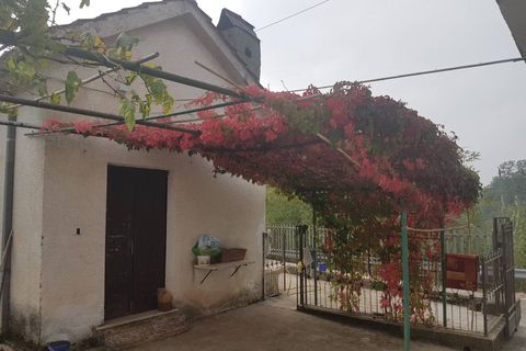 Villa i Roccasecca, Frosinone, Roccasecca - € 98.000 | Ref: AC99-425 - foto 26