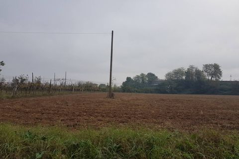 Villa i Roccasecca, Frosinone, Roccasecca - € 98.000 | Ref: AC99-425 - foto 31