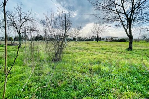 Landejendom i Roccasecca, Frosinone, Roccasecca - € 85.000 | Ref: AC99-642 - foto 3
