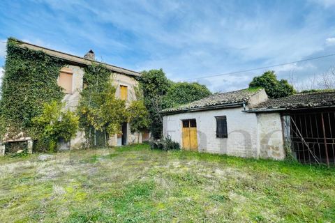 Landejendom i Roccasecca, Frosinone, Roccasecca - € 85.000 | Ref: AC99-642 - foto 5