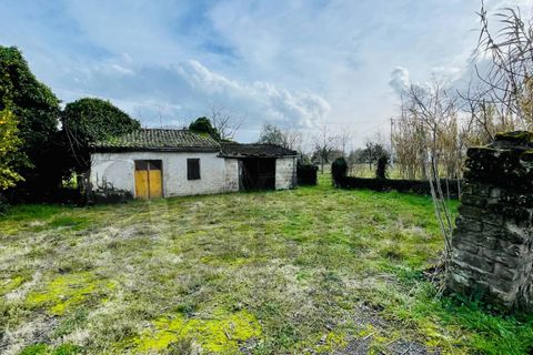 Landejendom i Roccasecca, Frosinone, Roccasecca - € 85.000 | Ref: AC99-642 - foto 6