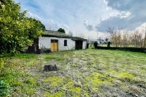 Landejendom i Roccasecca, Frosinone, Roccasecca - € 85.000 | Ref: AC99-642 - foto 9