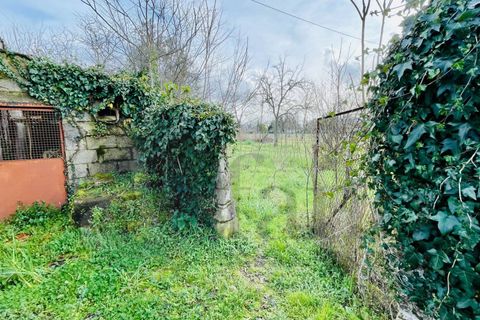 Landejendom i Roccasecca, Frosinone, Roccasecca - € 85.000 | Ref: AC99-642 - foto 10