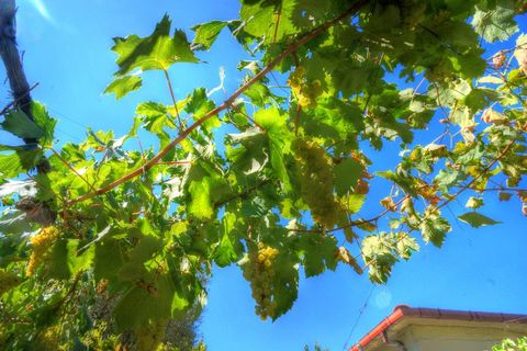 Villa a Arpino, Frosinone, Arpino - € 175.000 | Ref: AC99-2680 - foto 11