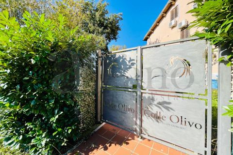 Erhvervsejendom i Arce, Frosinone, Arce - € 800.000 | Ref: AC99-2732 - foto 3