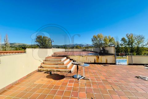 Erhvervsejendom i Arce, Frosinone, Arce - € 800.000 | Ref: AC99-2732 - foto 17