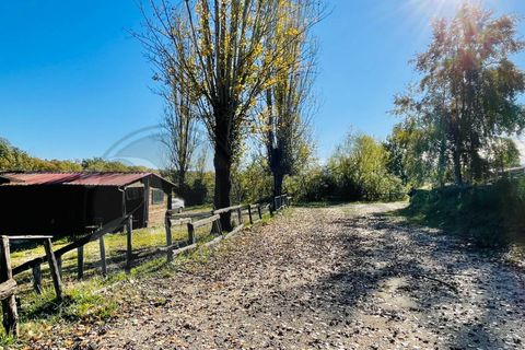 Erhvervsejendom i Arce, Frosinone, Arce - € 800.000 | Ref: AC99-2732 - foto 24