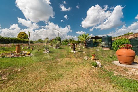 Landejendom i Arce, Frosinone, Arce - € 250.000 | Ref: AC99-149-1312 - foto 37