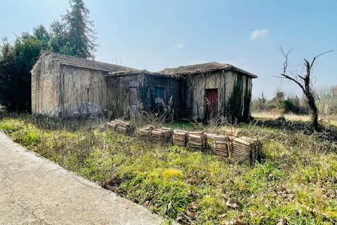 Landejendom i Arce, Frosinone, Arce - € 38.000 | Ref: AC99-149-904 - foto 4