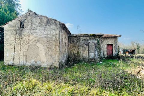 Landejendom i Arce, Frosinone, Arce - € 38.000 | Ref: AC99-149-904 - foto 6