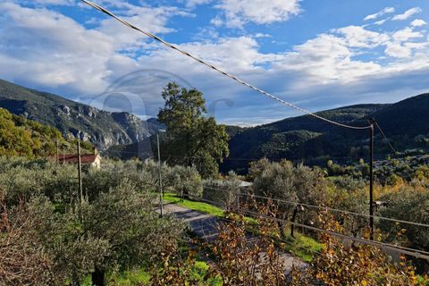Villa a Santopadre, Frosinone, Santopadre - € 99.000 | Ref: AC99-149-1013 - foto 17
