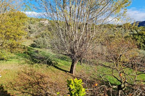 Villa a Santopadre, Frosinone, Santopadre - € 99.000 | Ref: AC99-149-1013 - foto 25