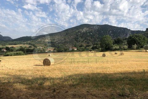 Landejendom i Roccasecca, Frosinone, Roccasecca - € 280.000 | Ref: AC99-149-1023 - foto 1