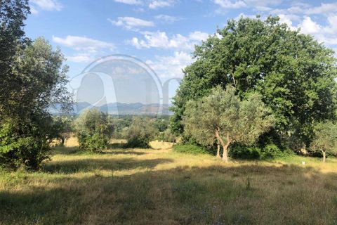 Landejendom i Roccasecca, Frosinone, Roccasecca - € 280.000 | Ref: AC99-149-1023 - foto 2