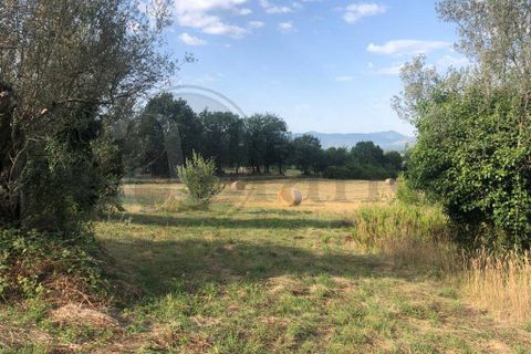 Landejendom i Roccasecca, Frosinone, Roccasecca - € 280.000 | Ref: AC99-149-1023 - foto 3