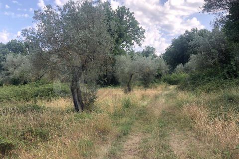 Landejendom i Roccasecca, Frosinone, Roccasecca - € 280.000 | Ref: AC99-149-1023 - foto 5