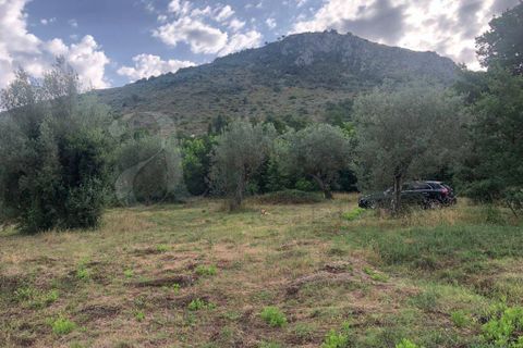 Landejendom i Roccasecca, Frosinone, Roccasecca - € 280.000 | Ref: AC99-149-1023 - foto 6
