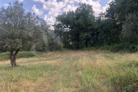 Landejendom i Roccasecca, Frosinone, Roccasecca - € 280.000 | Ref: AC99-149-1023 - foto 10
