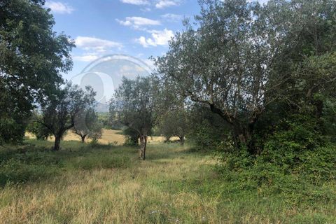 Landejendom i Roccasecca, Frosinone, Roccasecca - € 280.000 | Ref: AC99-149-1023 - foto 15