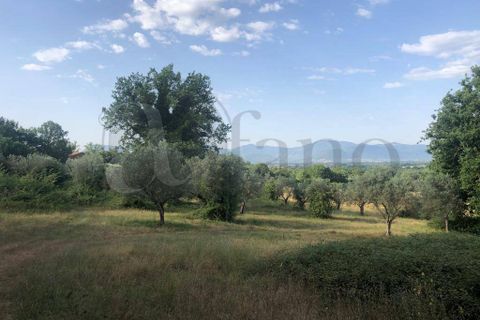 Landejendom i Roccasecca, Frosinone, Roccasecca - € 280.000 | Ref: AC99-149-1023 - foto 16