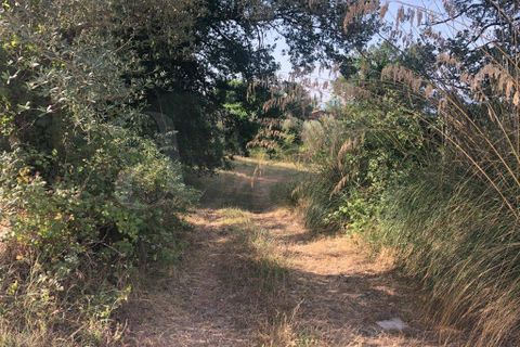 Landejendom i Roccasecca, Frosinone, Roccasecca - € 280.000 | Ref: AC99-149-1023 - foto 17