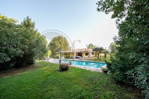 Villa i Pignataro Interamna, Frosinone, Pignataro Interamna - € 500.000 | Ref: AC99-149-1054 - foto 27