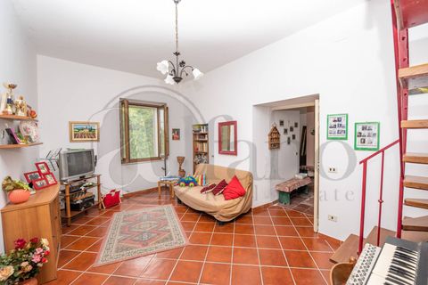 Landejendom i Paterno, Potenza, Paterno - € 110.000 | Ref: AC99-149-1081 - foto 13