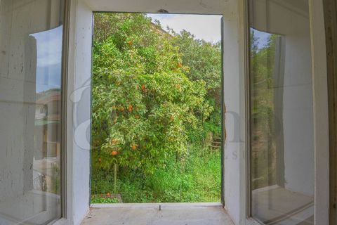 Villa i Roccasecca, Frosinone, Roccasecca - € 230.000 | Ref: AC99-149-1136 - foto 17