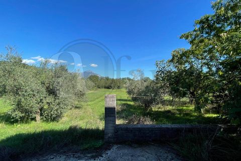 Villa a Colfelice, Frosinone, Colfelice - € 52.000 | Ref: AC99-149-1148 - foto 37