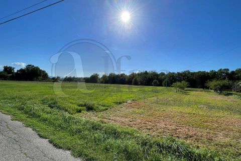 Villa a Colfelice, Frosinone, Colfelice - € 52.000 | Ref: AC99-149-1148 - foto 43