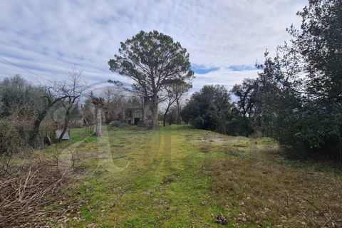 Landejendom i Aquino, Frosinone, Aquino - € 68.000 | Ref: AC99-149-1218 - foto 1