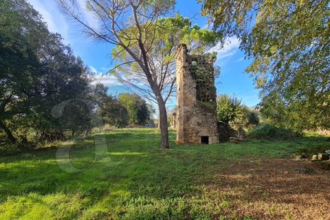Landejendom i Aquino, Frosinone, Aquino - € 68.000 | Ref: AC99-149-1218 - foto 2