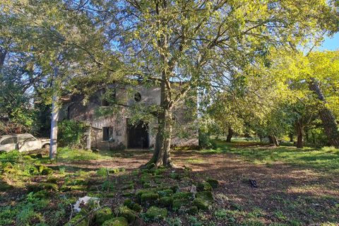 Landejendom i Aquino, Frosinone, Aquino - € 68.000 | Ref: AC99-149-1218 - foto 3