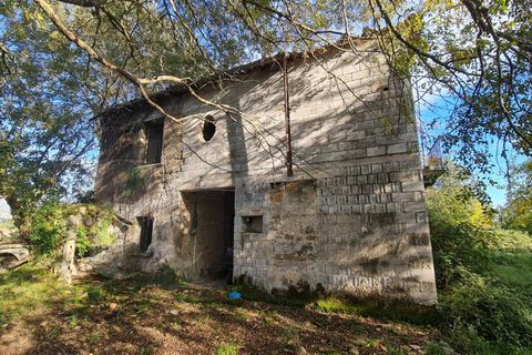 Landejendom i Aquino, Frosinone, Aquino - € 68.000 | Ref: AC99-149-1218 - foto 4
