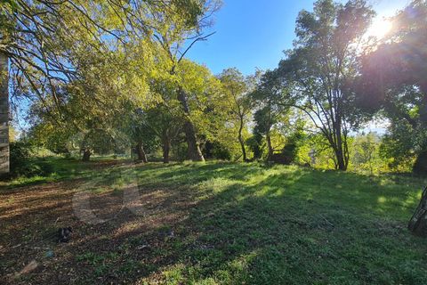 Landejendom i Aquino, Frosinone, Aquino - € 68.000 | Ref: AC99-149-1218 - foto 5
