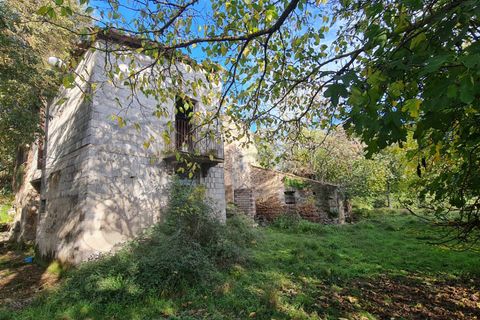 Landejendom i Aquino, Frosinone, Aquino - € 68.000 | Ref: AC99-149-1218 - foto 7