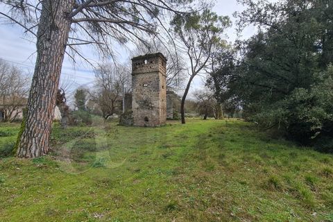 Landejendom i Aquino, Frosinone, Aquino - € 68.000 | Ref: AC99-149-1218 - foto 8