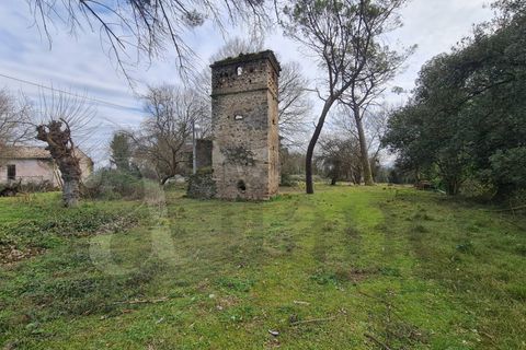 Landejendom i Aquino, Frosinone, Aquino - € 68.000 | Ref: AC99-149-1218 - foto 11