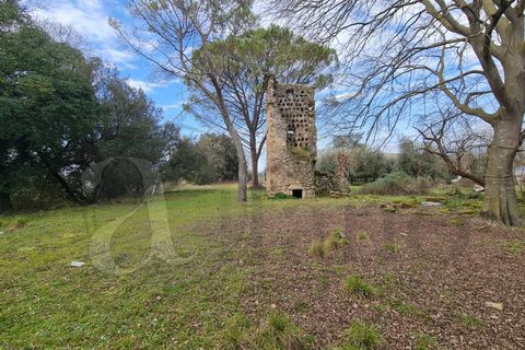 Landejendom i Aquino, Frosinone, Aquino - € 68.000 | Ref: AC99-149-1218 - foto 13