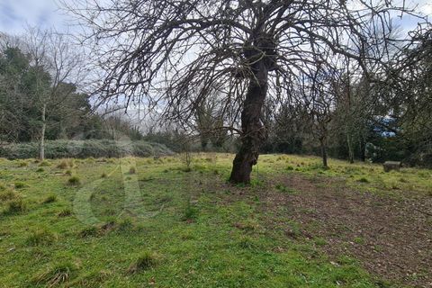 Landejendom i Aquino, Frosinone, Aquino - € 68.000 | Ref: AC99-149-1218 - foto 15