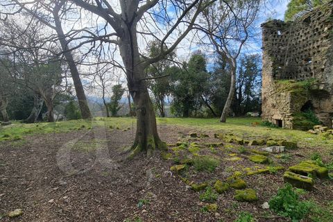 Landejendom i Aquino, Frosinone, Aquino - € 68.000 | Ref: AC99-149-1218 - foto 23