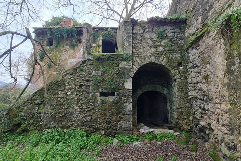 Landejendom i Aquino, Frosinone, Aquino - € 68.000 | Ref: AC99-149-1218 - foto 24