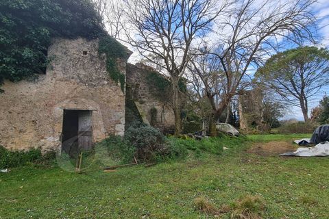 Landejendom i Aquino, Frosinone, Aquino - € 68.000 | Ref: AC99-149-1218 - foto 27