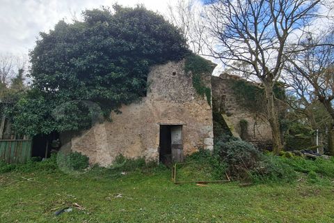 Landejendom i Aquino, Frosinone, Aquino - € 68.000 | Ref: AC99-149-1218 - foto 28
