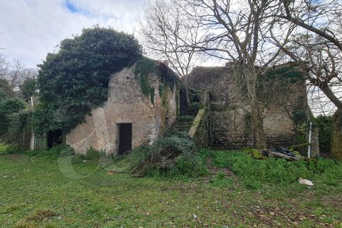 Landejendom i Aquino, Frosinone, Aquino - € 68.000 | Ref: AC99-149-1218 - foto 29