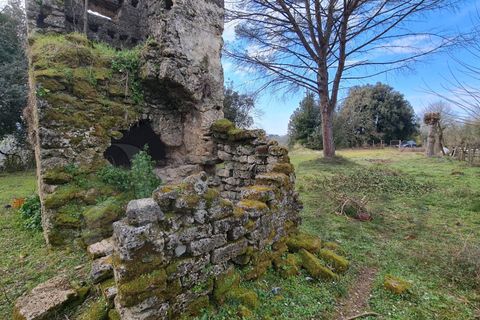 Landejendom i Aquino, Frosinone, Aquino - € 68.000 | Ref: AC99-149-1218 - foto 30