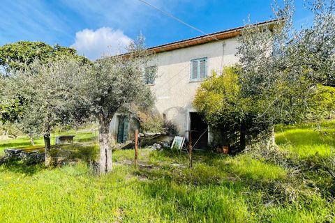 Landejendom i Roccasecca, Frosinone, Roccasecca - € 49.000 | Ref: AC99-149-1233 - foto 3