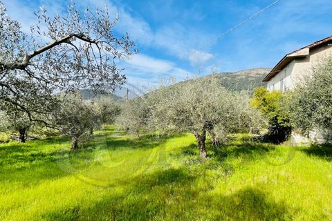 Landejendom i Roccasecca, Frosinone, Roccasecca - € 49.000 | Ref: AC99-149-1233 - foto 4