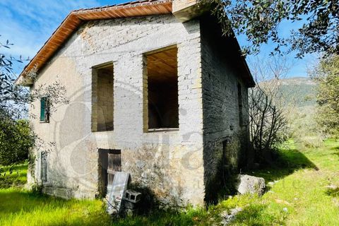 Landejendom i Roccasecca, Frosinone, Roccasecca - € 49.000 | Ref: AC99-149-1233 - foto 6