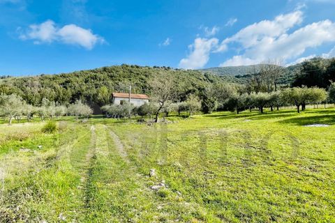 Landejendom i Roccasecca, Frosinone, Roccasecca - € 49.000 | Ref: AC99-149-1233 - foto 9